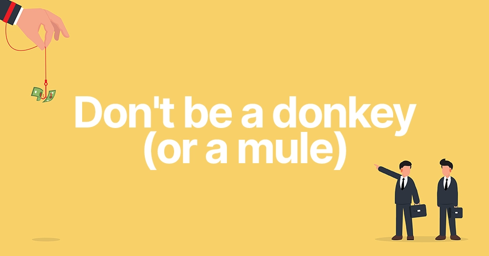 Don't be a donkey (or a mule)